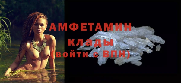 шишки Володарск